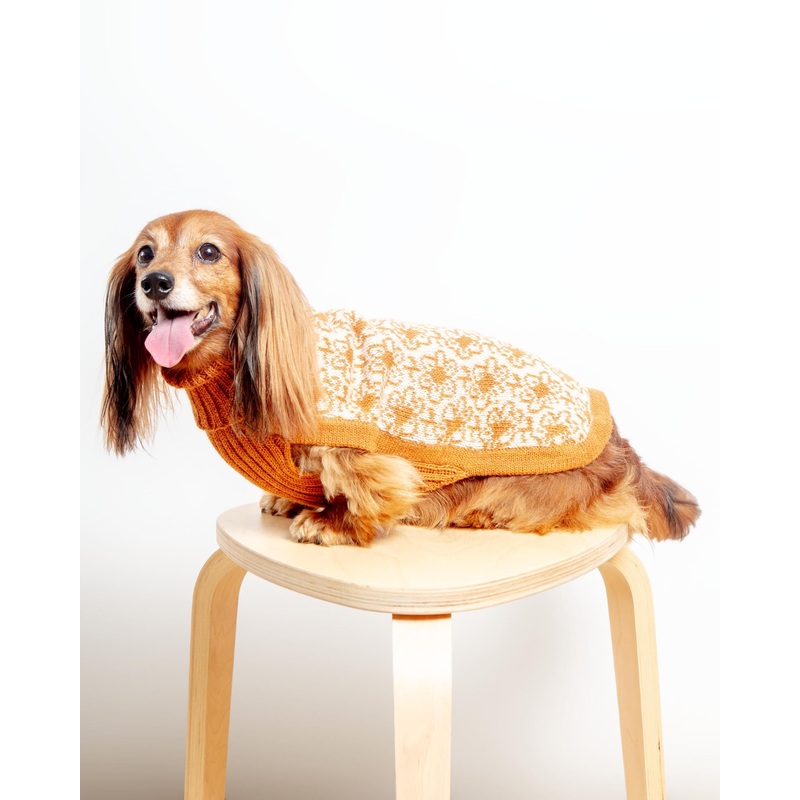 Buttercup Alpaca Dog Sweater (FINAL SALE)