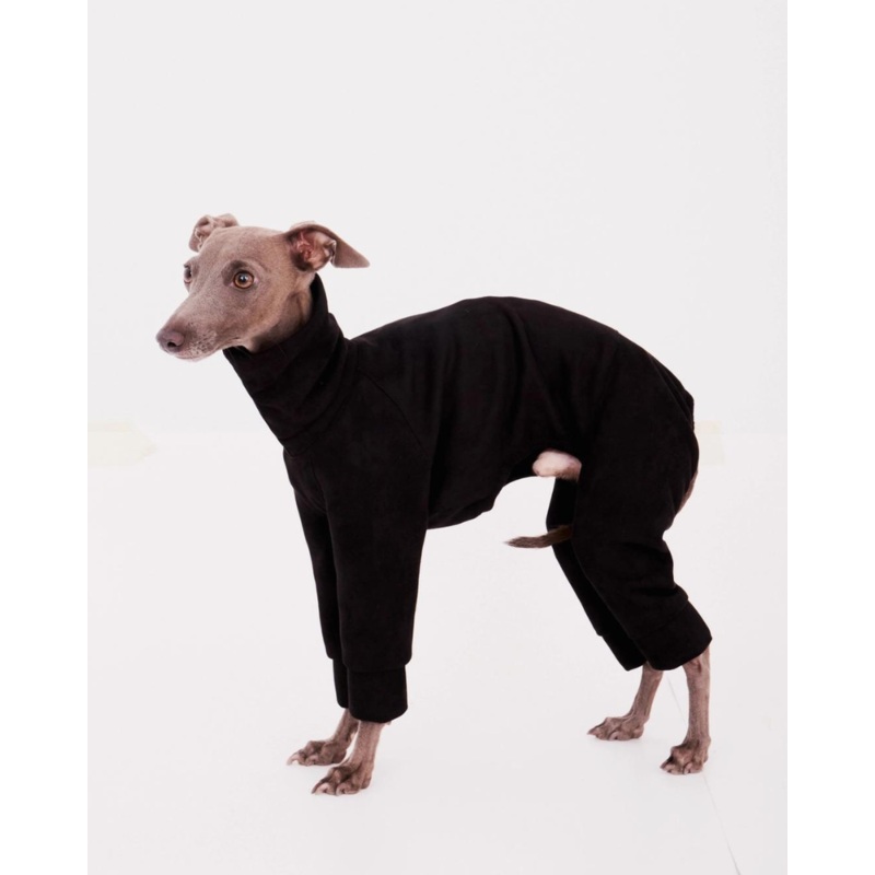 Dog Onesie in Black (FINAL SALE)