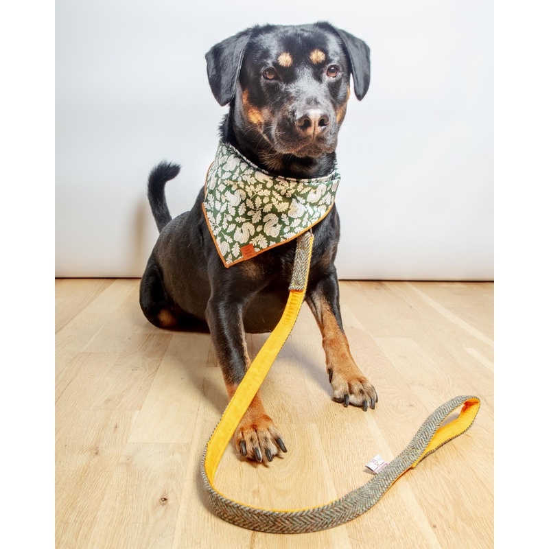 Eriskay Harris Tweed Dog Lead|One-Size (1 Meter)