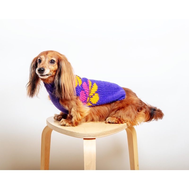 Flower Power Wool Dog Sweater (FINAL SALE)