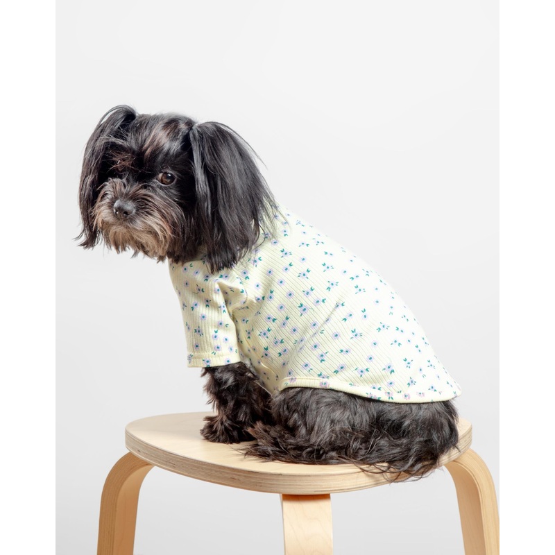 Forget-Me-Not Cozy Dog Shirt in Yellow (FINAL SALE)