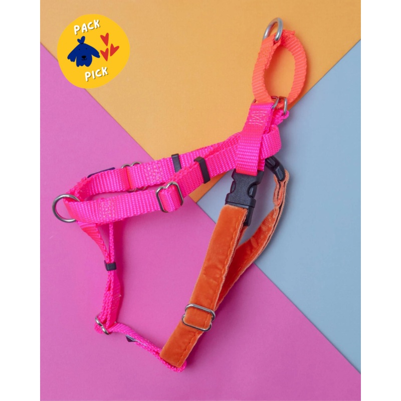 Freedom No-Pull Harness in Neon Pink & Orange (Made in the USA)
