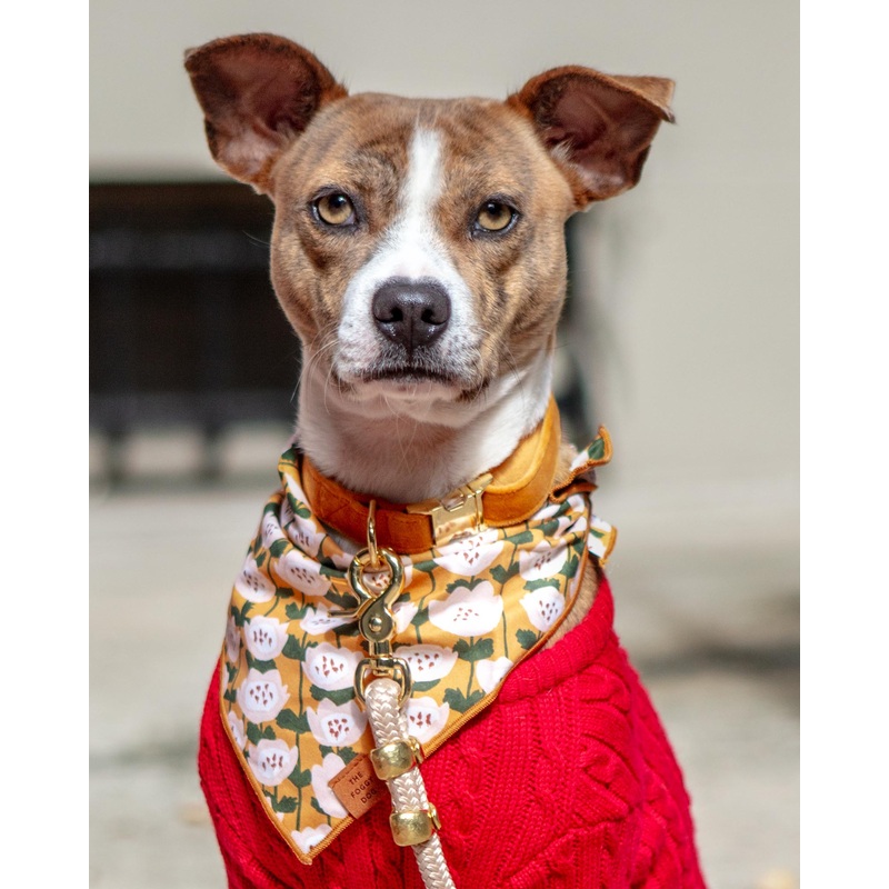 Goldenflowers Dog Bandana (Made in the USA) )(FINAL SALE)