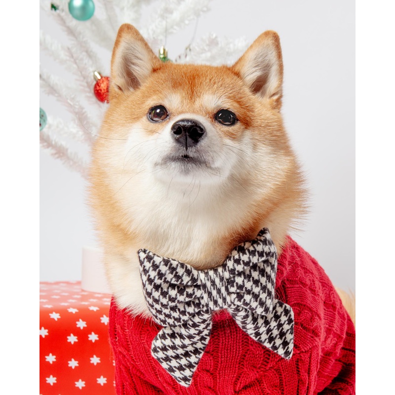 Houndstooth Flannel Lady Dog Bow