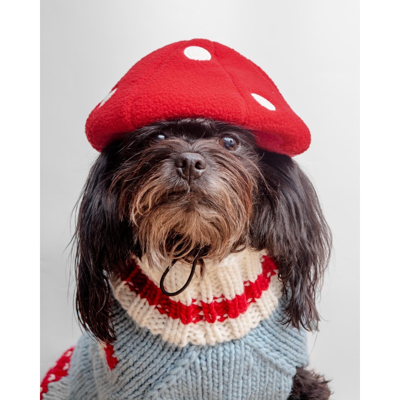 Howl-O-Ween Mushroom Cap|X-Small|Small|Medium|Large|X-Large