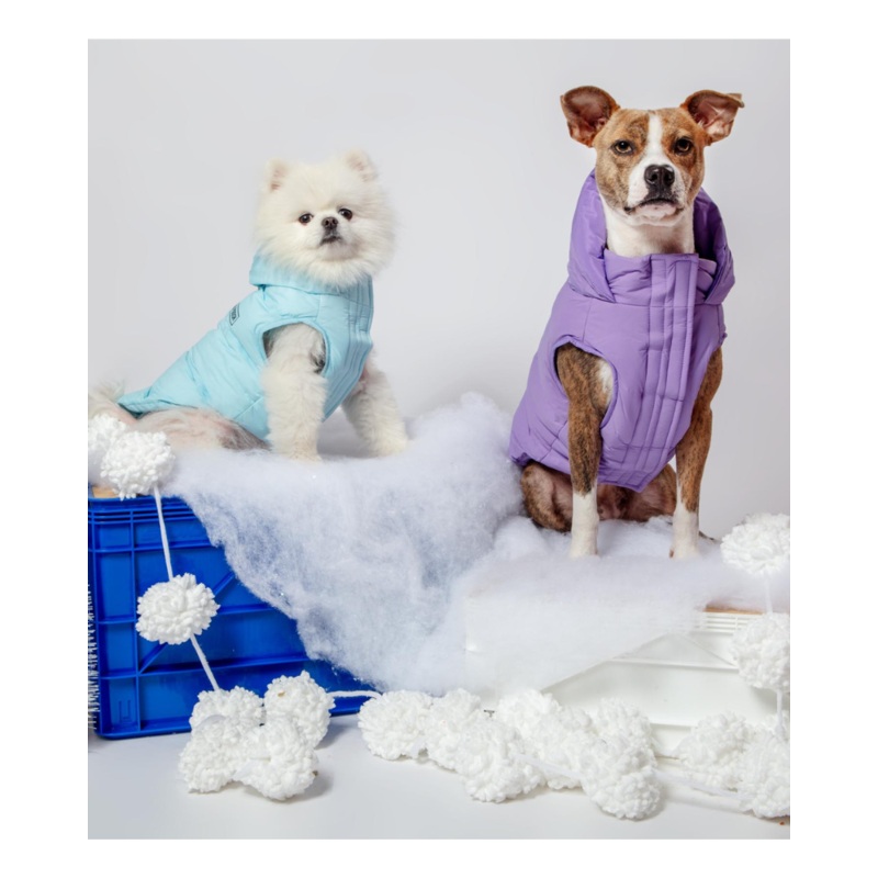 Insulated Waterproof Dog Puffer (FINAL SALE)