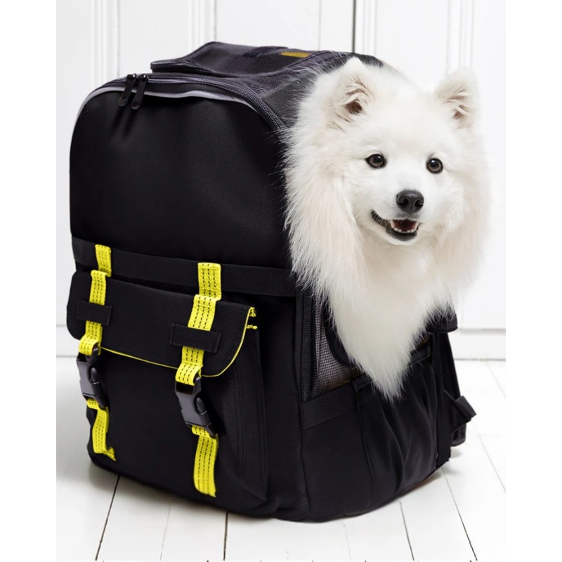 Ready-For-Adventure Pet Backpack in Black (Airline Compliant)