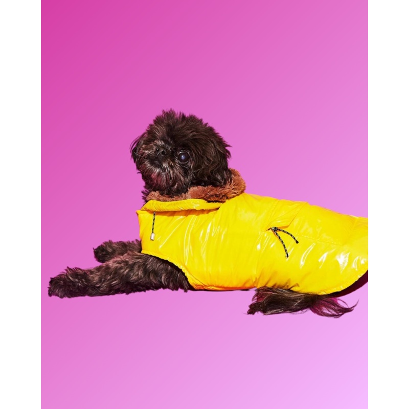 Shiny Puffer Dog Jacket w/ Faux Fur Hood (Made in the USA) (FINAL SALE)