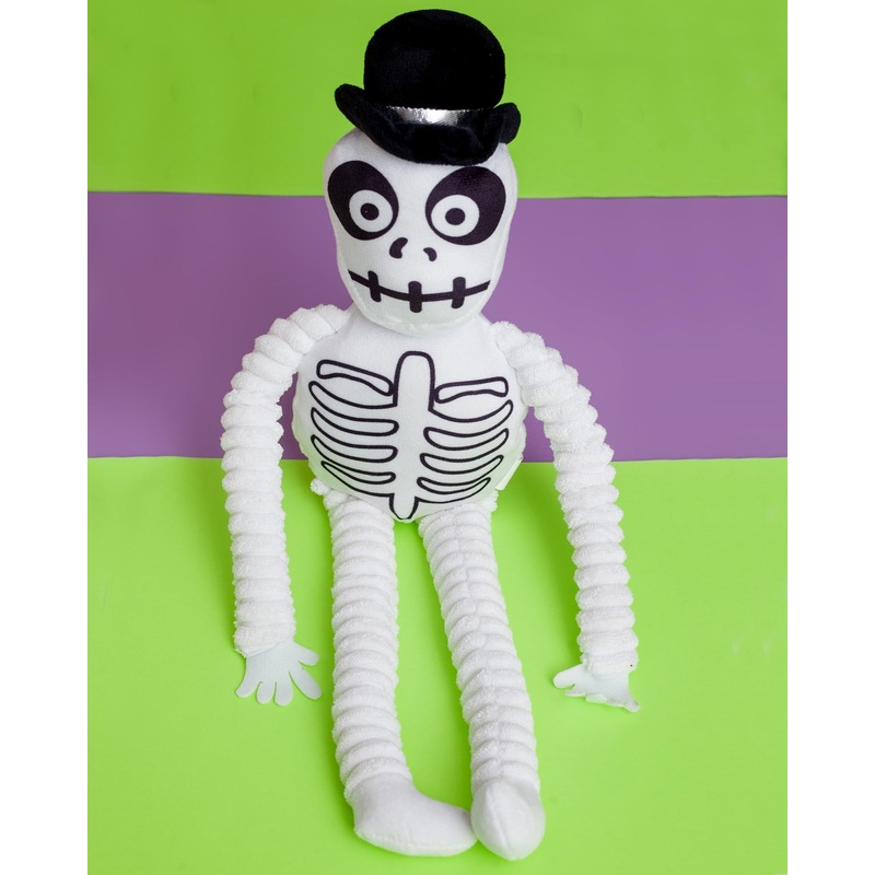 Spooky Skeleton Squeaky Dog Toy
