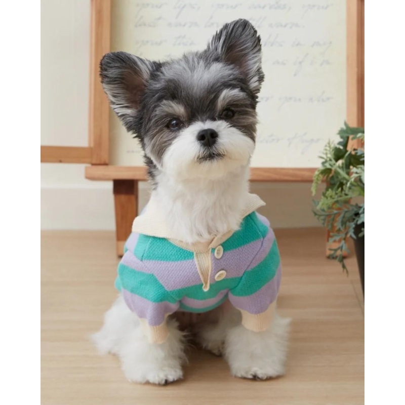 Striped Rugby Knit Dog Sweater (FINAL SALE)