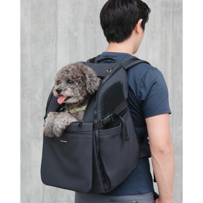 Travel Pet Carrier Backpack|Black|Sand