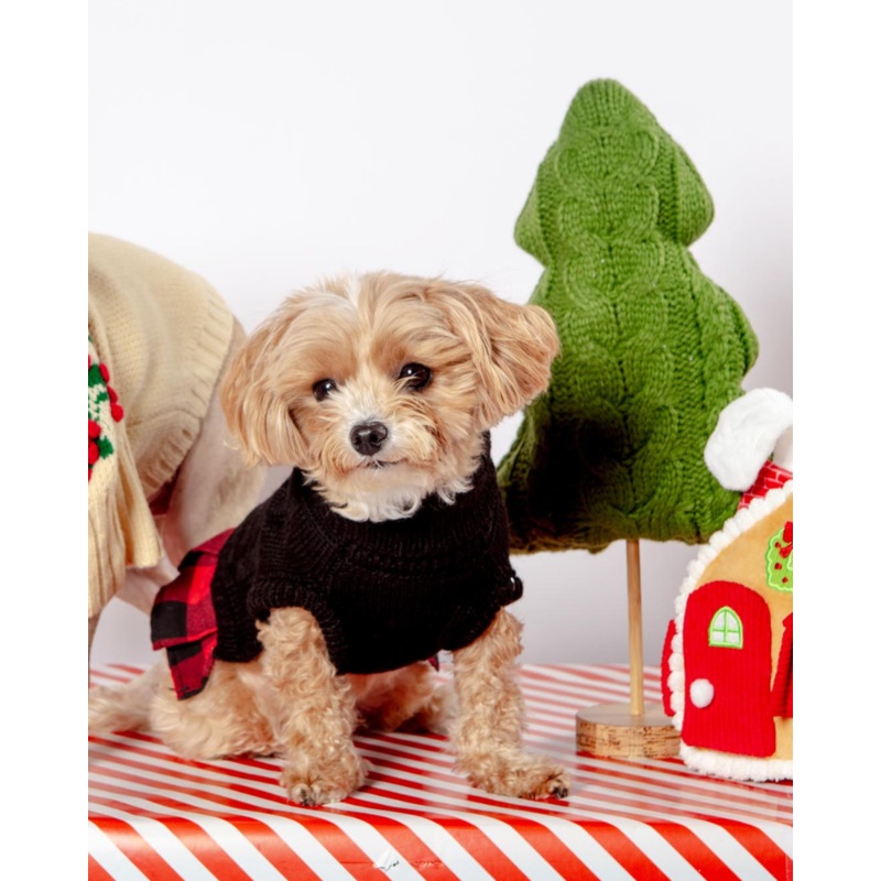 Turtleneck Sweater Dress for Dogs