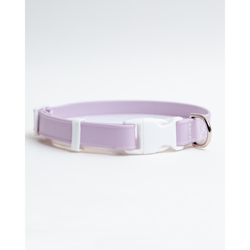 A Walk in the Park Dog Collar in Lilac