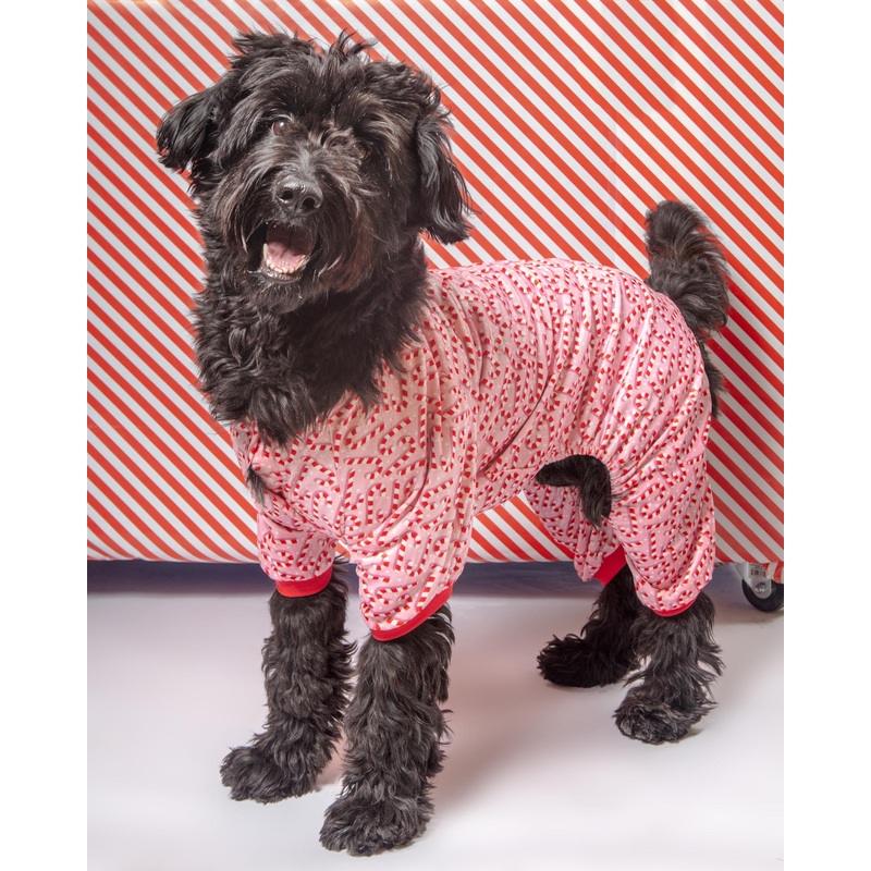 Candy Cane Dog Pajamas|1|2|3|4|5|6|7