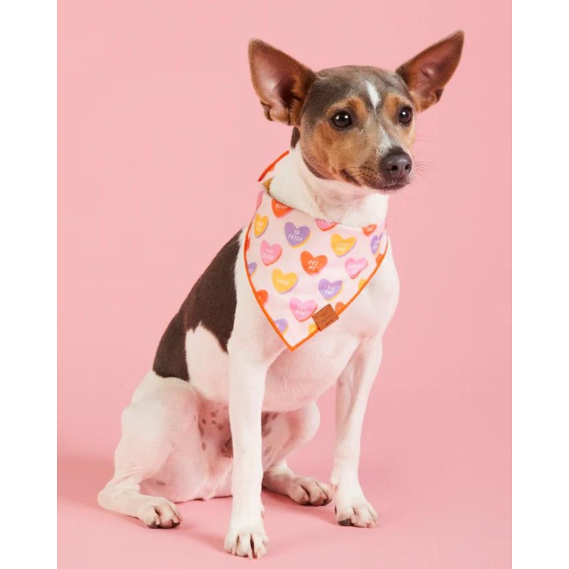Candy Hearts Dog Bandana (Made in the USA) (FINAL SALE)