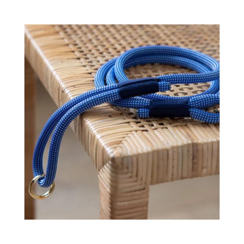 Climbing Rope Leash in Lagoon (Made in the USA)