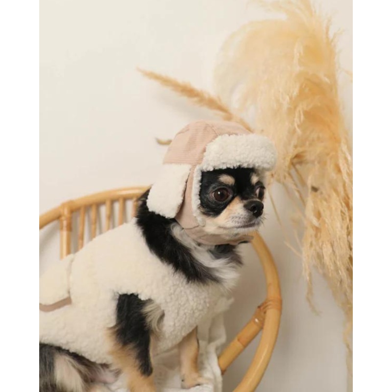 Corduroy Pet Flight Cap|Small|Medium