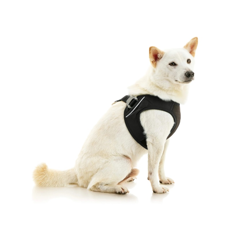 Escape-Free Easy Fit Plus Dog Harness FINAL SALE