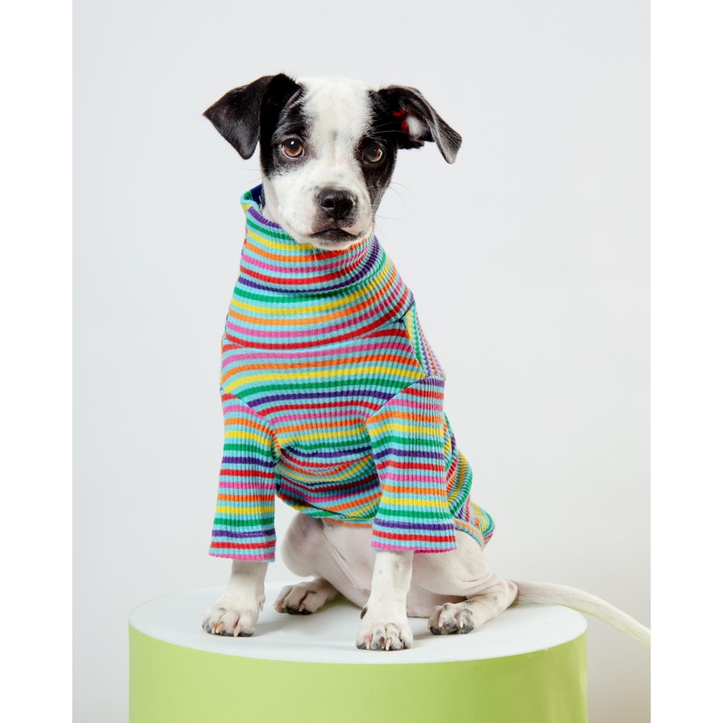 Fabulous Ribbed Dog Pullover|XX-Small|X-Small|Small|Medium|Large|X-Large|XX-Large