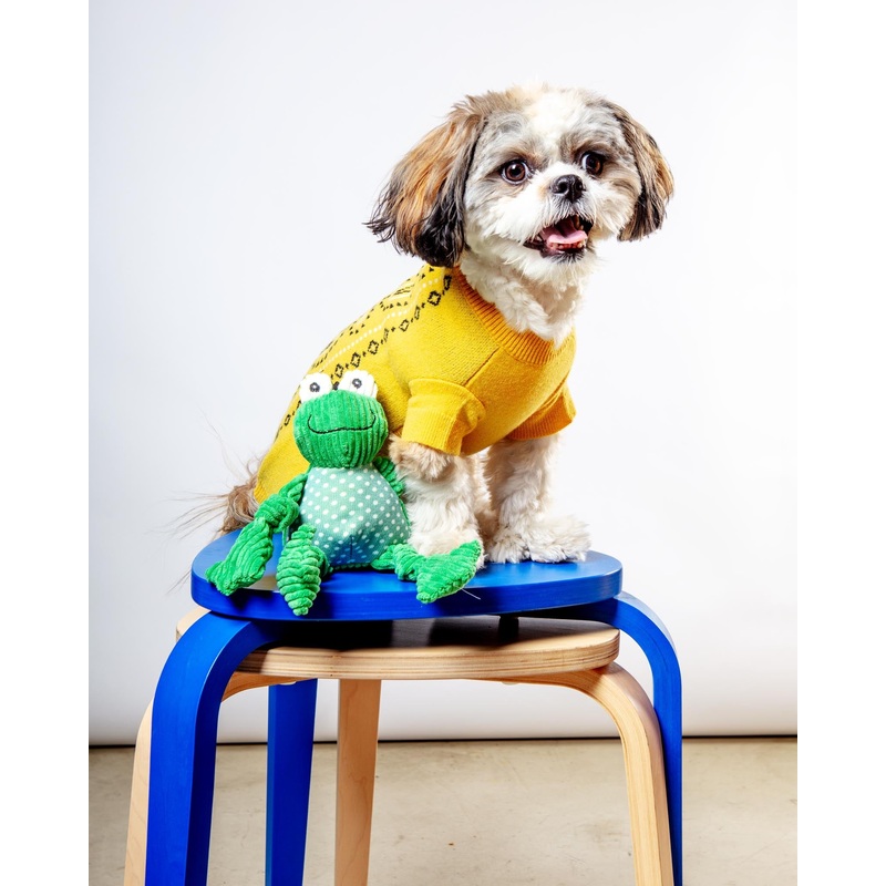 Fergie Frog Knottie Dog Plush Toy