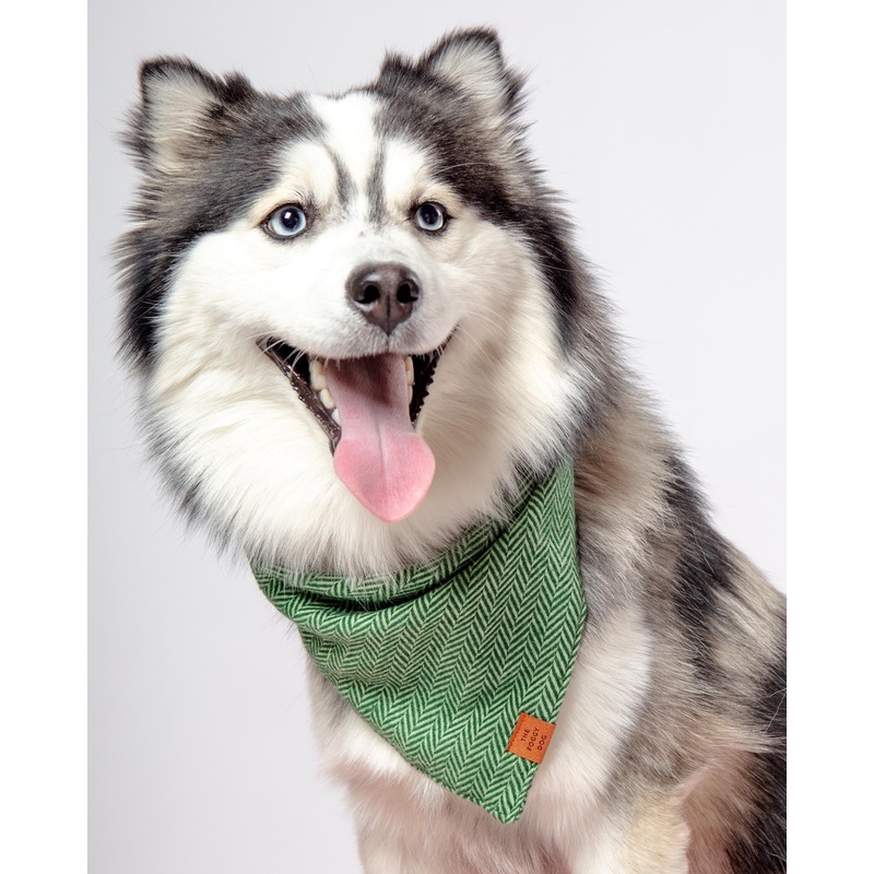 Green Herringbone Flannel Dog Bandana (Made in the USA)