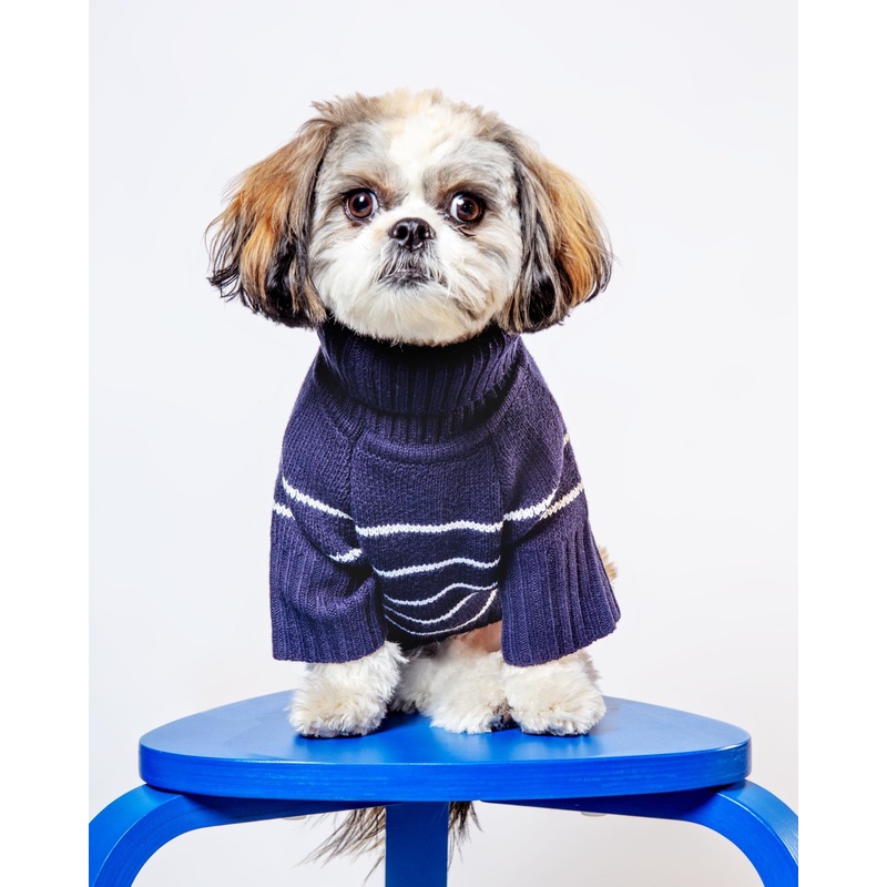 Mariner Stripe Dog Sweater (FINAL SALE)