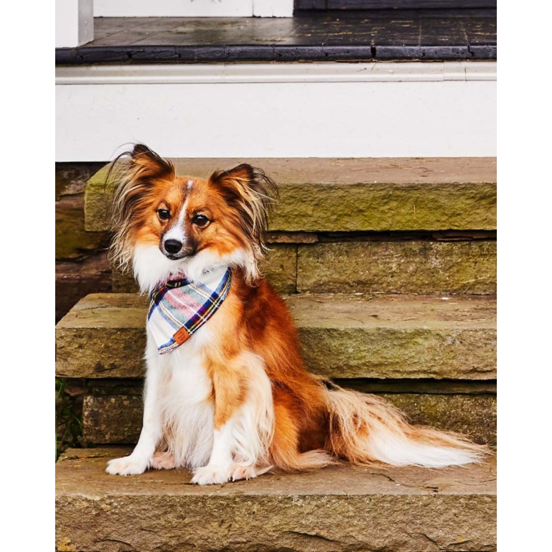 Regent Plaid Flannel Dog Bandana