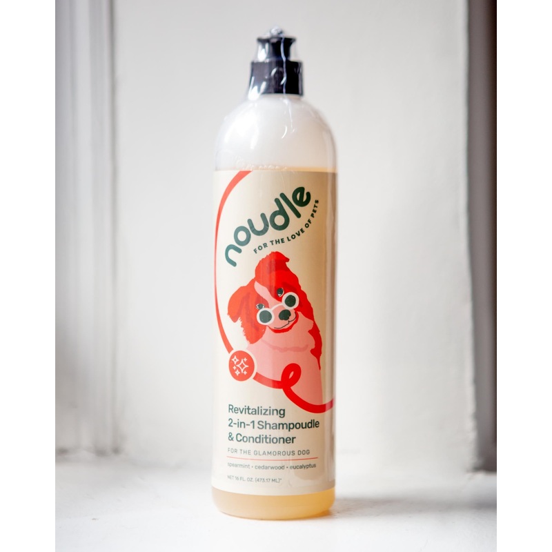 Revitalizing 2-in-1 Shampoudle & Conditioner  (Cruelty Free & Vegan)