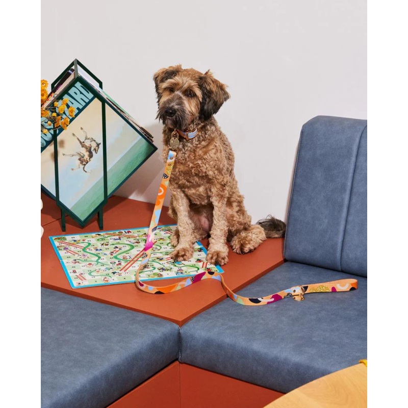 Snakes & Ladders Leather Dog Leash