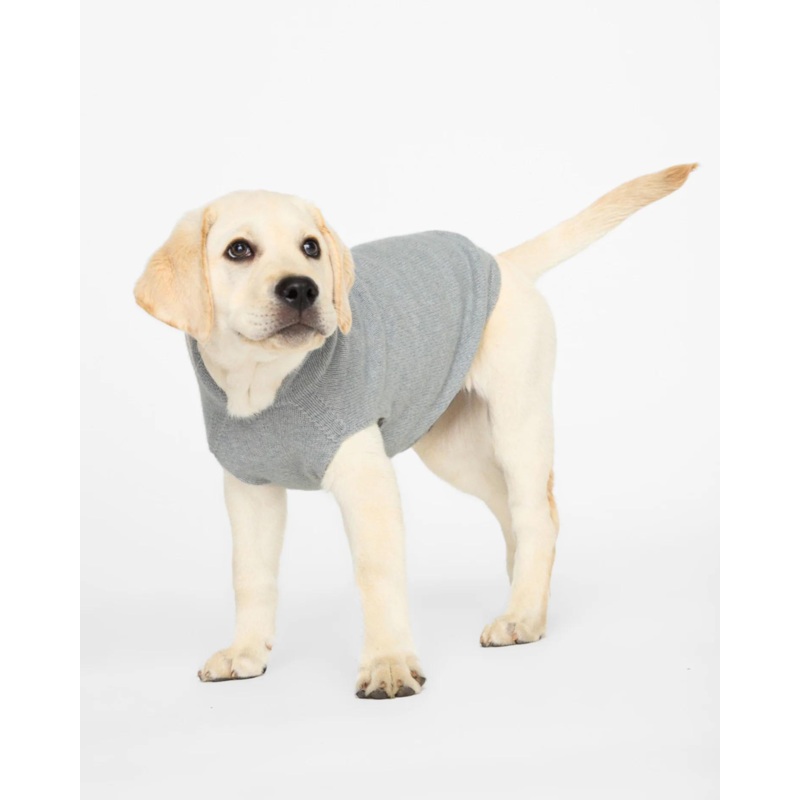 The Cashmere Dog Hoodie x Brochu Walker Exclusive