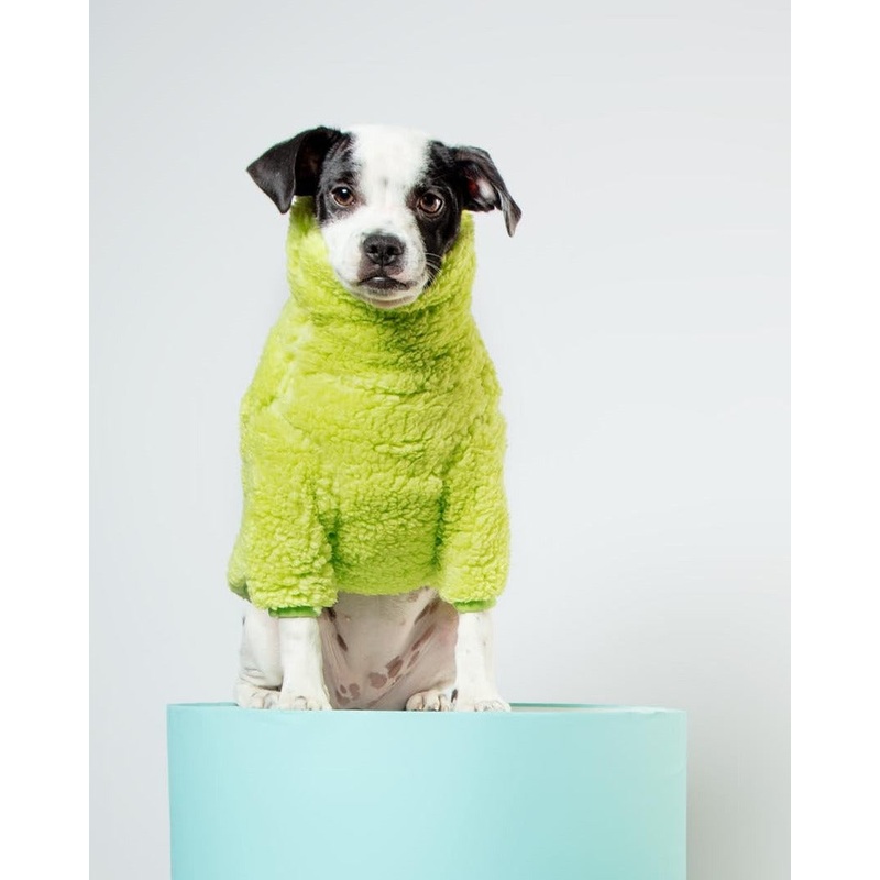 The Highlighter Fleece Sweatshirt (FINAL SALE)