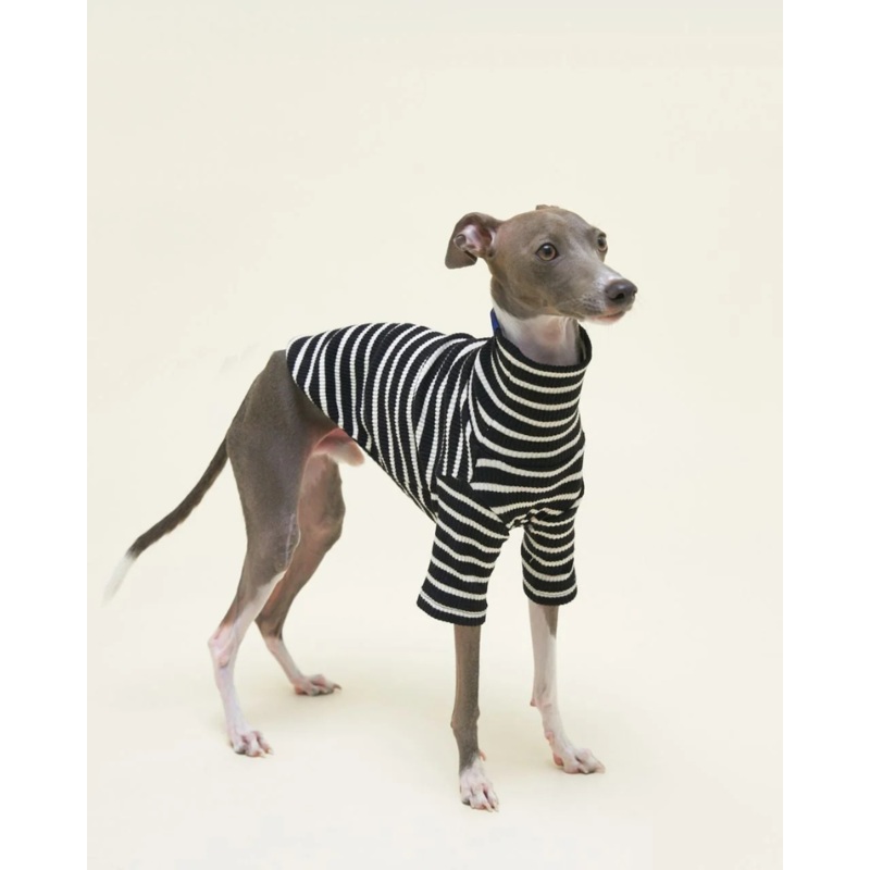 Cafe in Paris Dog Shirt|XX-Small|X-Small|Small|Medium|Large|X-Large|XX-Large