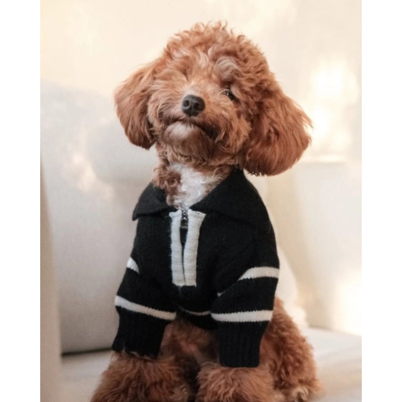 Cortado Striped Zipper Turtleneck Dog Sweater