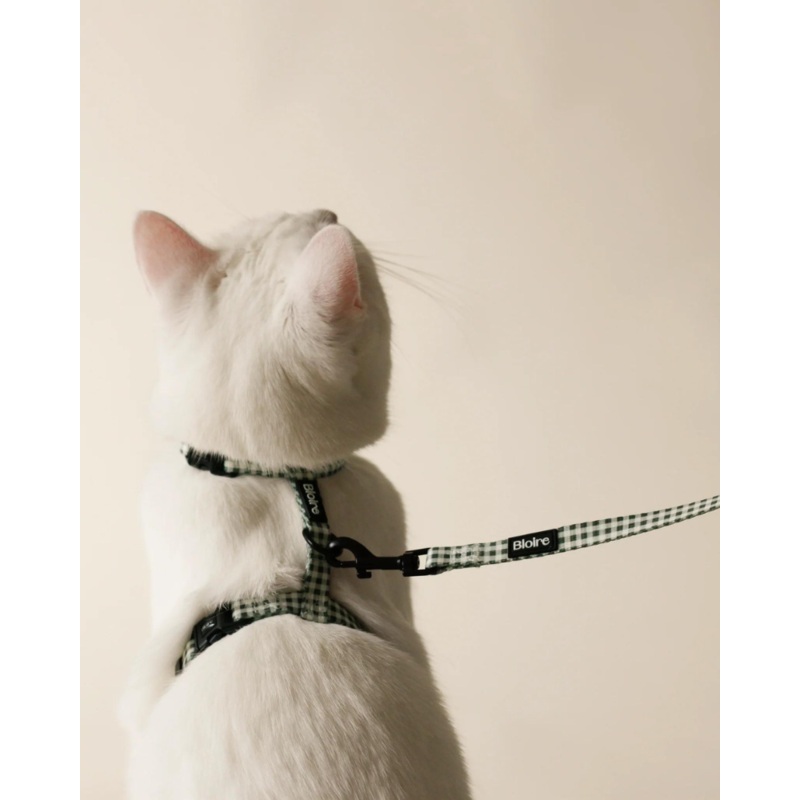 Green Plaid Matching Cat Harness & Leash Set