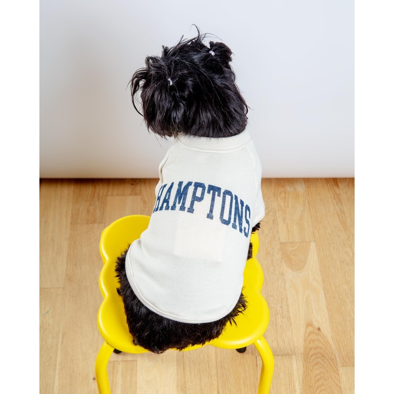 Hamptons Dog Sweatshirt in Oat