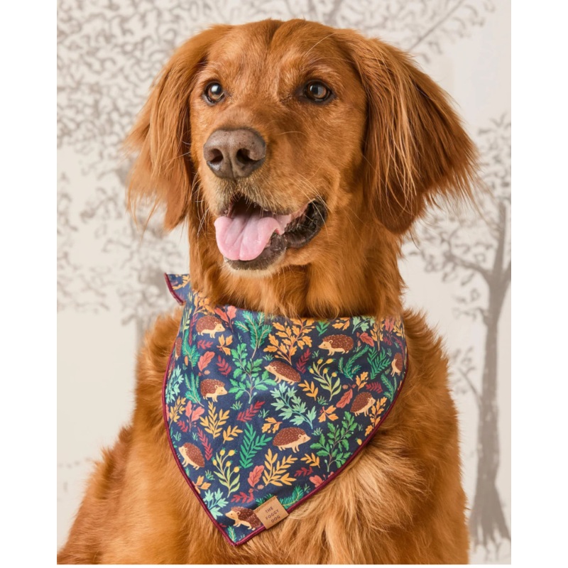 Hedgehog Hollow Cotton Dog Bandana (Made in the USA)