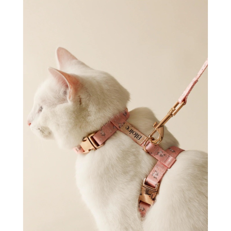 Meadow Matching Cat Harness & Leash Set