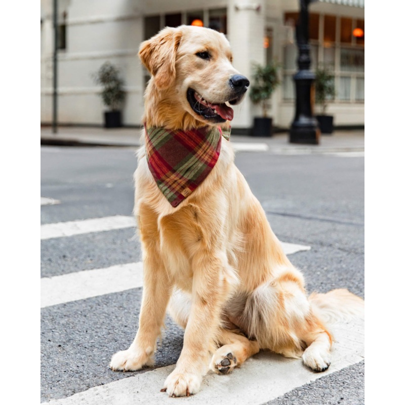 Orchard Plaid Flannel Dog Bandana (Made in the USA)