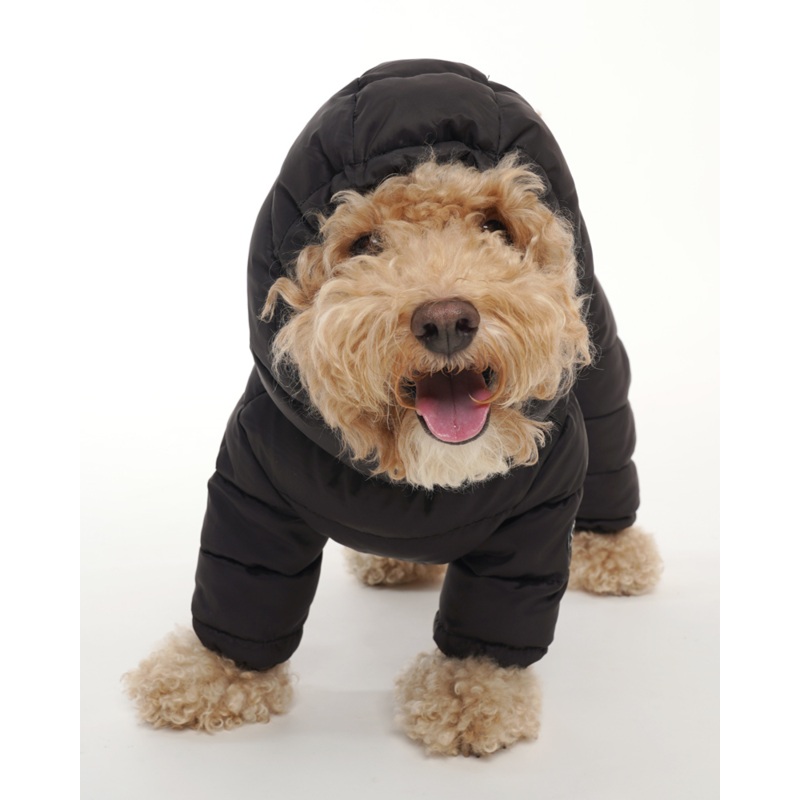 Padded Winter Coverall for Dogs w/ Hood
