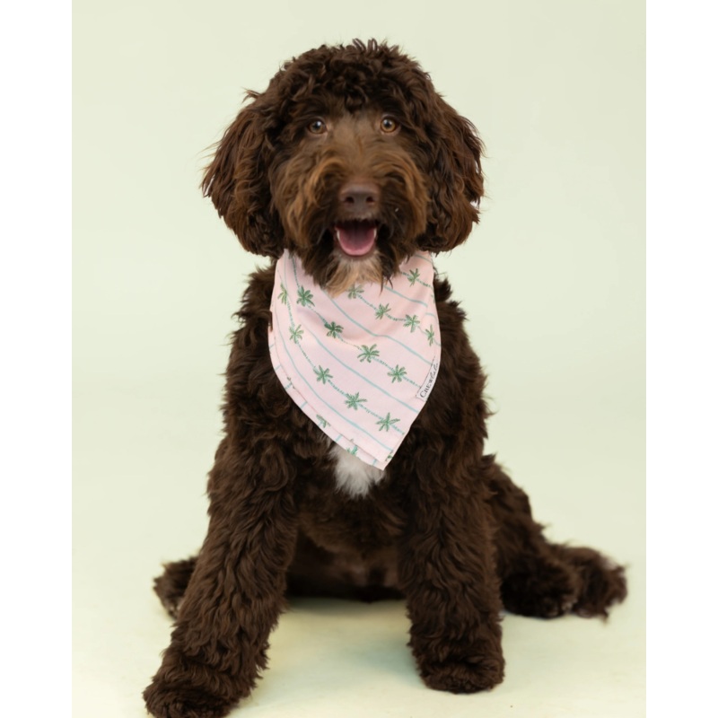 Palm Beach Dog Bandana|Small (8-11″)|Medium (10-16″)|Large (15-21″)