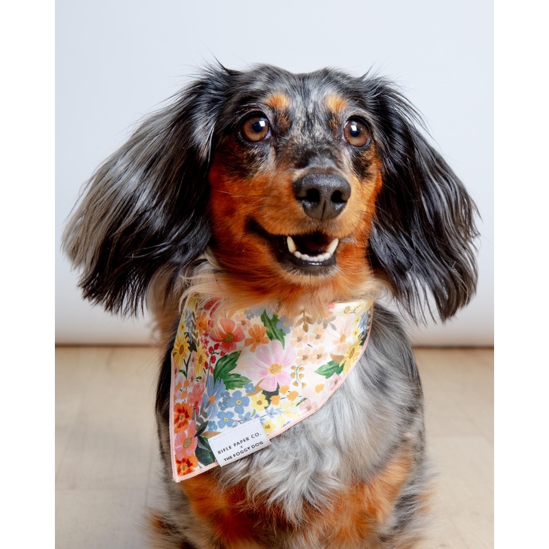 Rifle Paper Co. X TFD Marguerite Floral Dog Bandana FINAL SALE