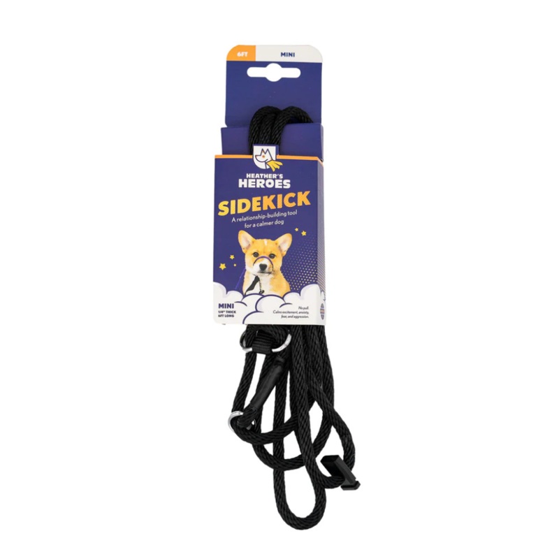 Sidekick Transitional No-Pull Leash