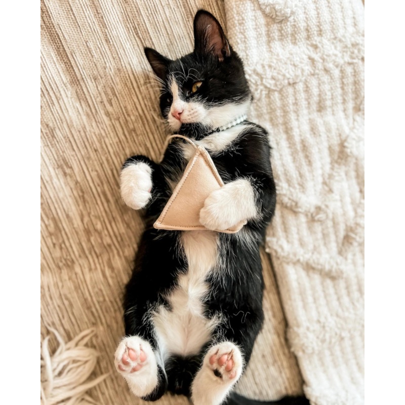 Tea Time Catnip Toy