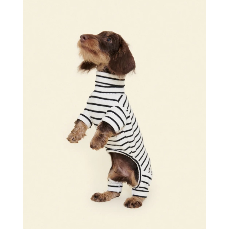 World’s Your Oyster Dog Onesie