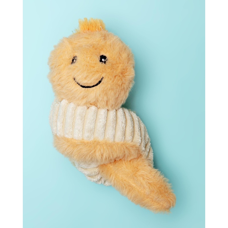Bert the Earthworm Squeaker Ball Dog Toy (7)