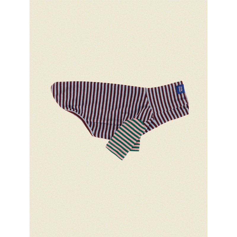 Earth and Sky Ribbed Dog Shirt