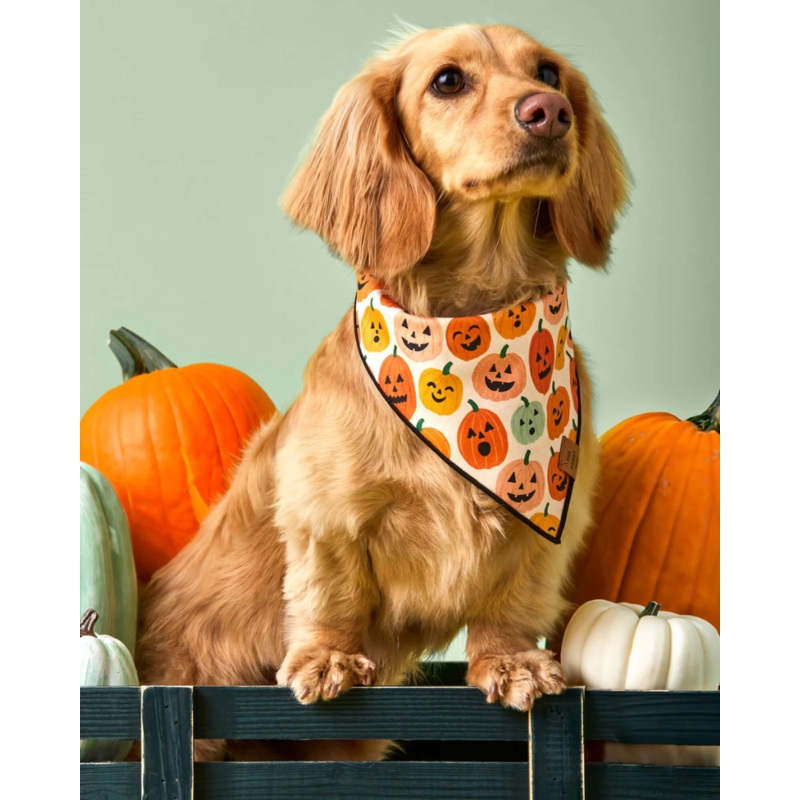 Jack-O-Lanterns Reversible Dog Bandana (Made in the USA)