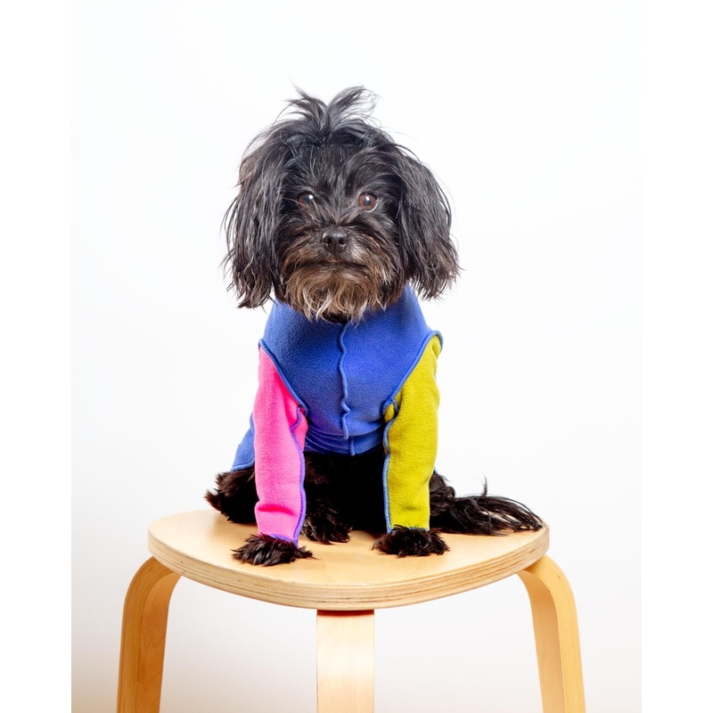 Long-Sleeve Stretch Fleece in Crazy for the 80s (Made in the USA) (DOG & CO. + GOLD PAW Exclusive!)