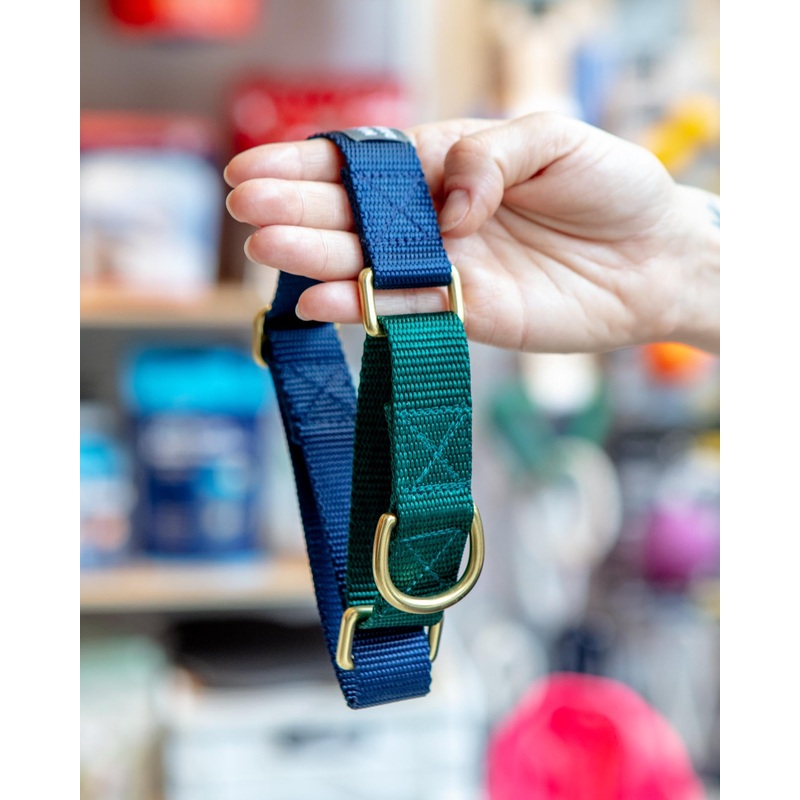 Martingale Dog Collar in Navy + Evergreen (Made in the USA)