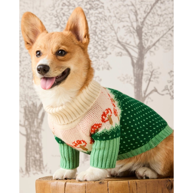 Mushroom Toadstool Knit Dog Sweater